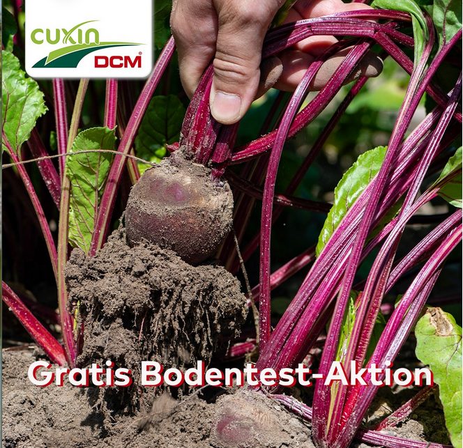 CUXIN Bodentestaktion 12. April