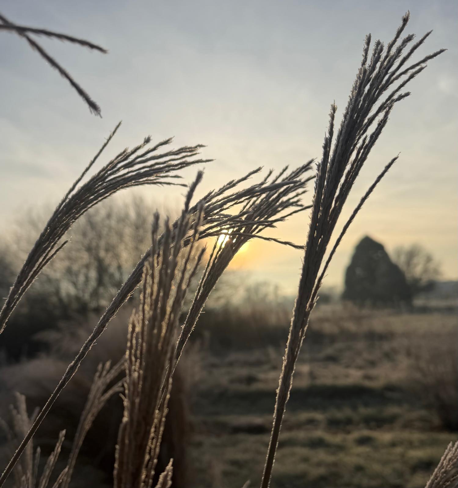 Winterpause? Nicht ganz!